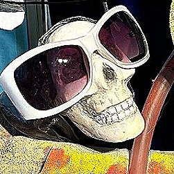 Und tglich grt der Simulant - Eine Landarztkomdie